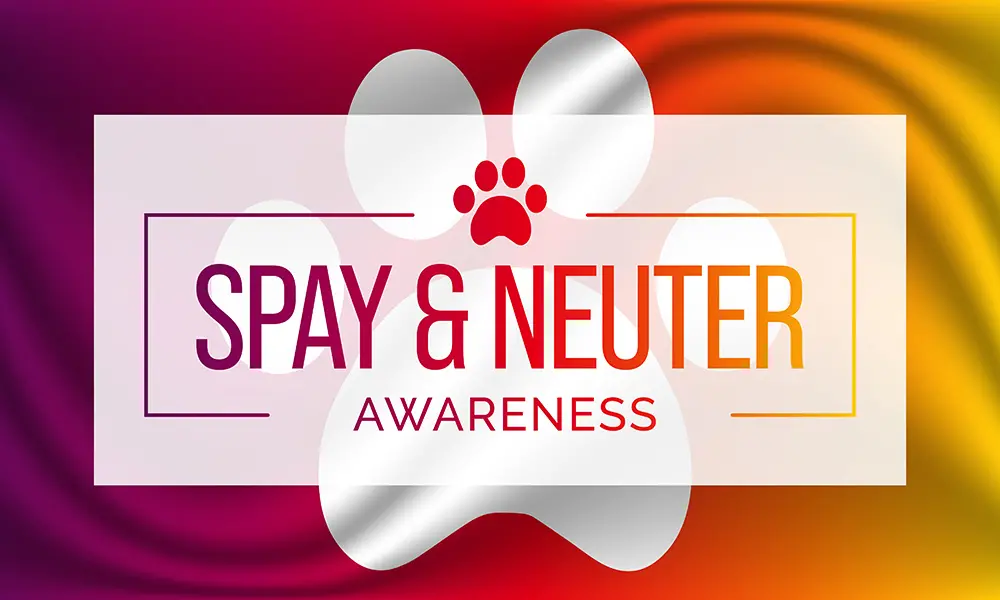 063022 spay and neuter
