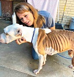 Tammy Lawson is shown with Chance, one of the rescue dogs she and her huband Greg are tending to on behalf of Animals Lives Matter of East Texas, a non-profit they started at the beginning of the year. Courtesy photo