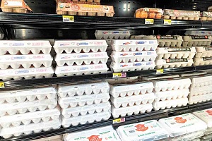 Cartons of eggs inside a Brookshire Brothers in College Station on Jan. 23. Egg prices have climbed to all-time highs amid the avian flu pandemic. Texas A&M AgriLife photo by Michael Miller