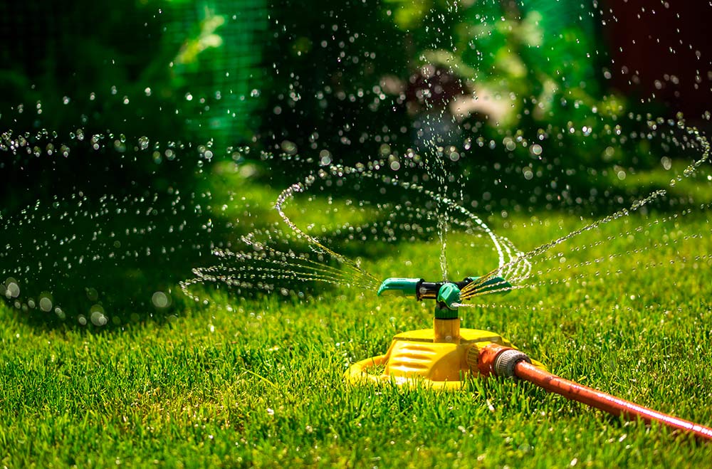 070377 watering lawn