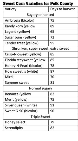 3 16 sweet corn varieties