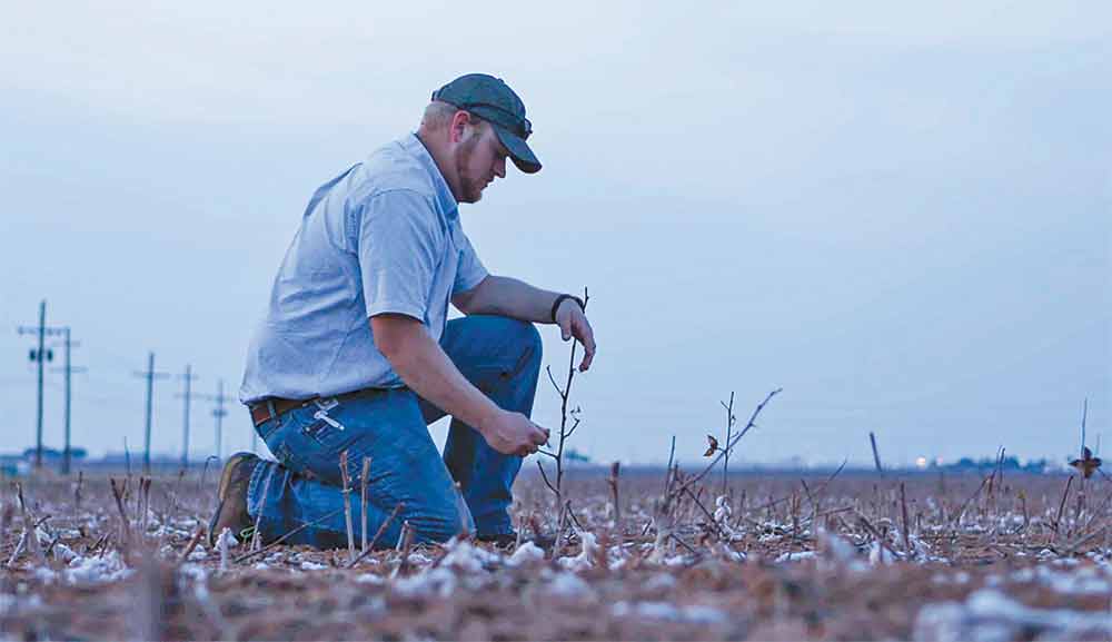 Grant Heinrich kneels in cotton field at his family farm. Photo courtesy Pine Curtain Film Company
