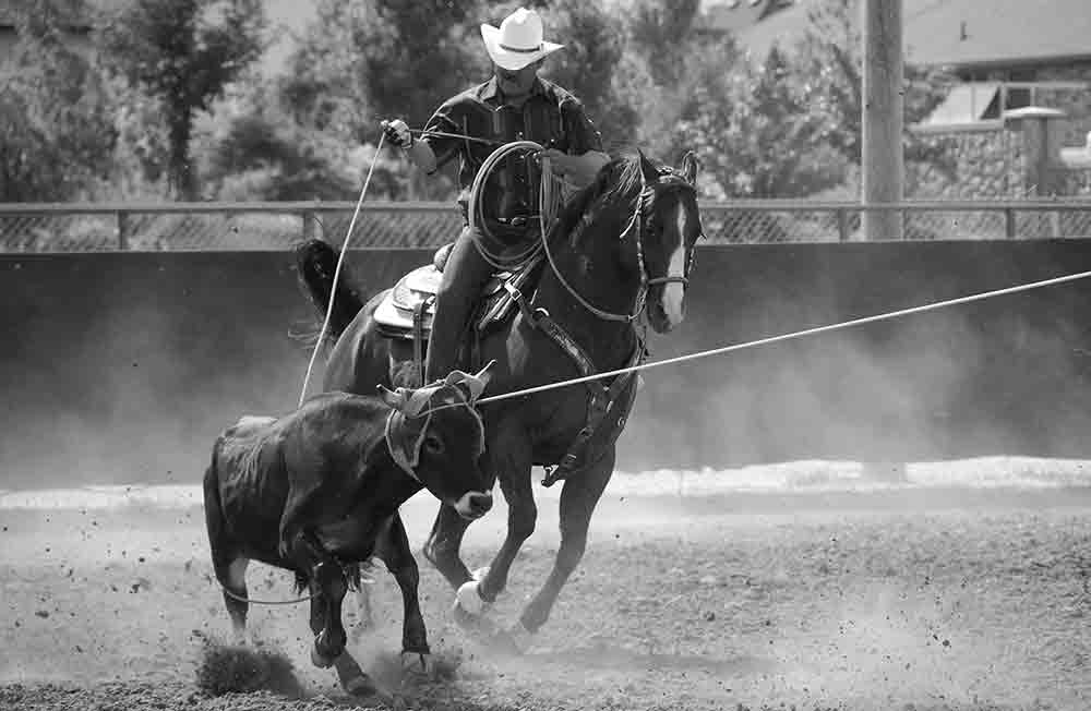 Lots of ropin’ and ridin’ fun to be had at the Cowboy Church of Houston County’s Spring Fling Playday Series.  Stock Photo