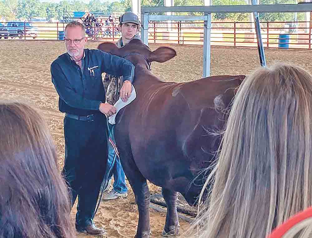 Dr. Stanley Kelly of Sam Houston State University explained to students how the muscle blade sits inside of the cow and what cuts of beef come from each area. Due to the muscles in the front shoulder being used often, the muscles in the shoulder are tough and should be cooked low and slow in order to become tender and palatable. Photo courtesy of Ashlie Taylor