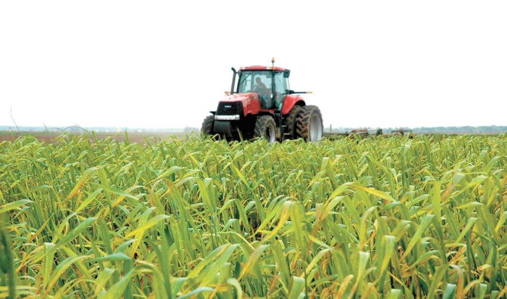 Fertilizer prices have reached record highs and a new report by the Agricultural and Food Policy Center at Texas A&M University indicates they may go much higher in 2022. Texas A&M AgriLife Marketing and Communications photo by Blair Fannin