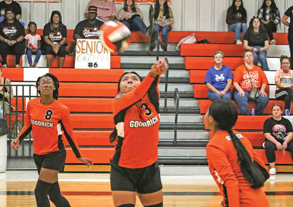 Arly Balbuena led the team with several excellent serves.  Photos by Brian Besch
