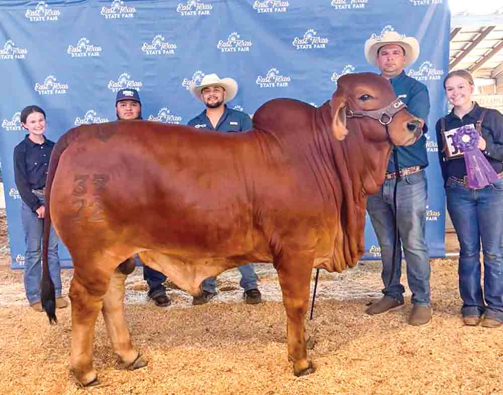 Casaray Ranch animals won awards in a recent show in Tyler. Courtesy photo