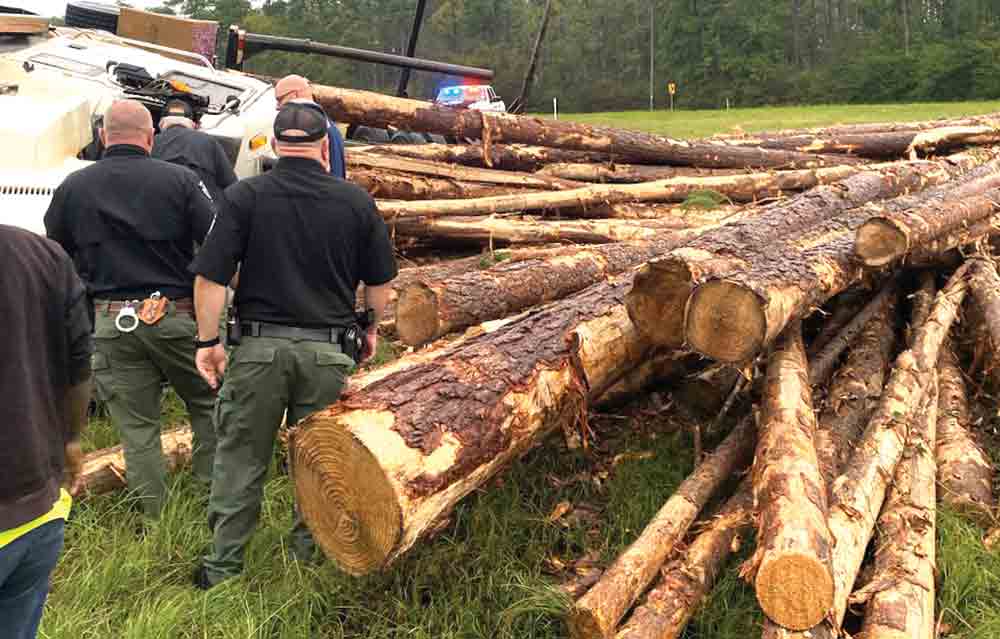 Law enforcement officials survey the wreckage of a logging truck that overturned.  Courtesy photo