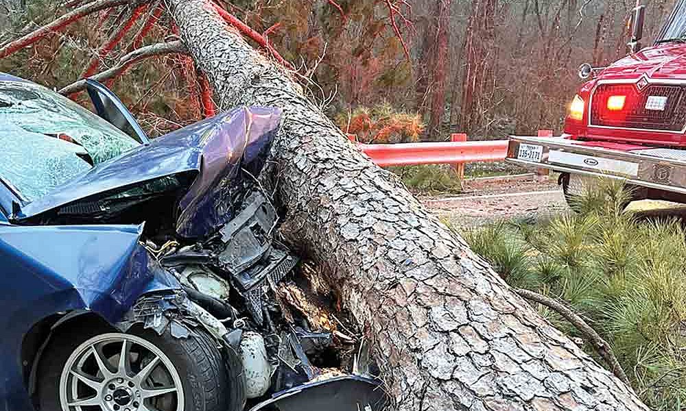 Two people were injured after colliding with a fallen tree on FM 2262 on Saturday. Courtesy photo