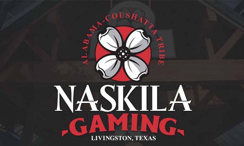 Naskila logo filled